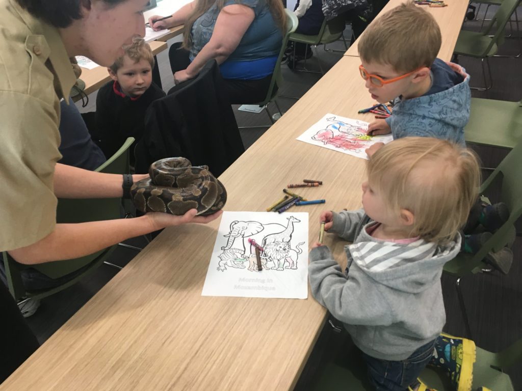 Photo of two children looking at a snake