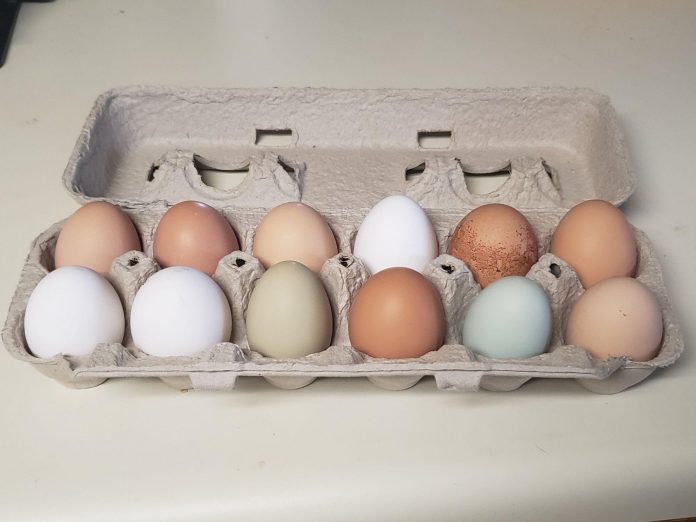 Multicolored eggs in a cardboard egg carton.