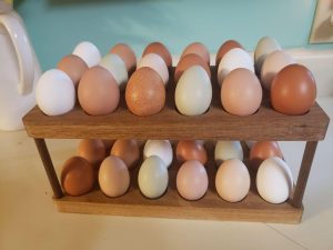 multicolored chicken eggs on a brown rack