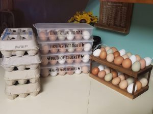 many different types of egg containers on a kitchen counter